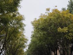 -四川大学(江安校区)