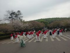 -武汉大学-樱园