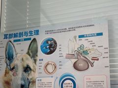 -瑞派福兴宠物医院犬猫全科·骨科·中西医结合(河东店)
