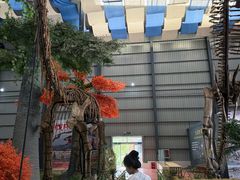 -诸城市恐龙博物馆