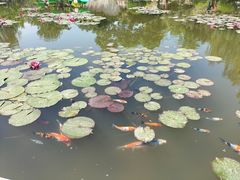 -河北省园博园