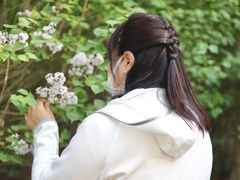 -丁香湖公园