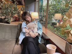 -咖法森林·咖啡  酒吧(天河店)