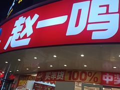 -赵一鸣零食(广东佛山大沥镇嘉洲店)