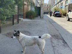 -济南轻骑摩托车有限公司(和平路)