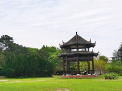 -东湖落雁景区