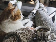 法式面包-大头虾越式风味餐厅(光明广场店)