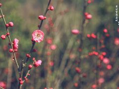 -黄公望隐居地