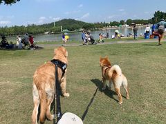 -上海月湖雕塑公园