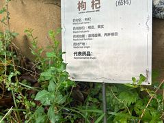 -广州神农草堂中医药博物馆