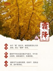 -宝馨月月子中心(友谊医院店)