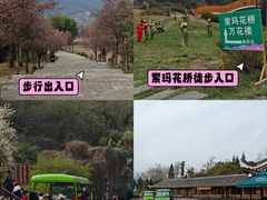 -贵州百里杜鹃风景名胜区
