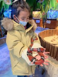 点击看大图 -酷嗒动物文化乐园(cutezoo西溪乐天城店)