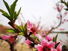 -大兴滨河森林公园