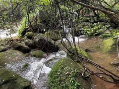 -赤水丹霞旅游区·佛光岩