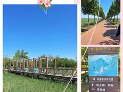 -官港森林公园