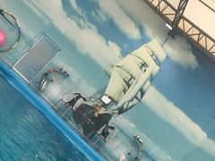 -尼莫海豚馆
