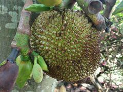 android_upload_pic-大沙河公园