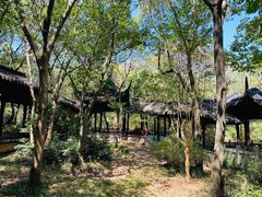 -上海佘山国家森林公园天马山园