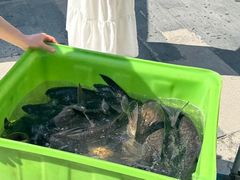 -宝荣鱼馆·临湖之宴(千岛湖店)