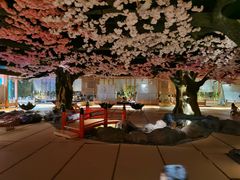 -蓝鲸湾汤泉(包河店)