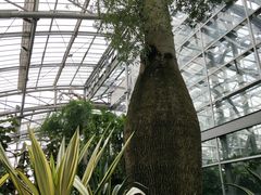 -南山植物园