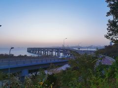 -星海湾跨海大桥