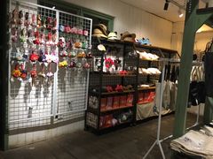 -猫咪博物馆(顶澳仔猫街店)