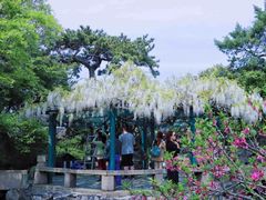 -无锡蠡湖国家湿地公园-蠡园