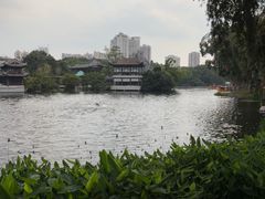 -荔湾湖公园