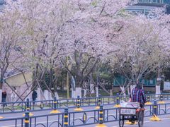 -西北湖绿化广场