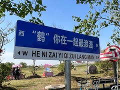 -盐城丹顶鹤湿地生态旅游区