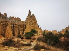 -元谋浪巴铺土林景区