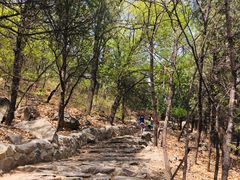 -阳台山自然风景区