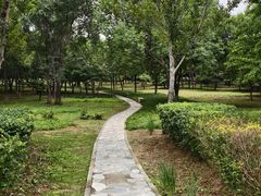 -绿堤公园