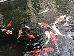 -顺景温泉