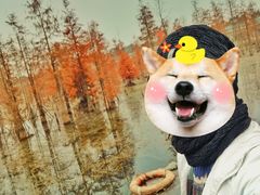 -白鹭湾湿地公园