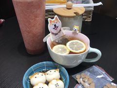 -逗柴咖啡屋·狗咖猫咖宠物桌游