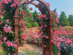 -上海滨江森林公园