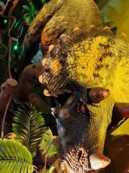 -恐龙探索乐园(磁器口店)