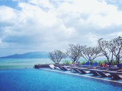 -芽庄喜来登水疗酒店