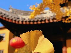 -龙华寺
