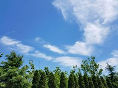 -浮山香苑