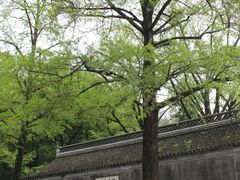 -南山风景名胜区
