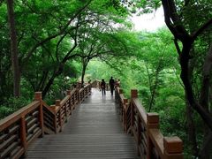 -紫金山山顶公园