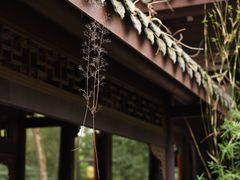 -三苏祠