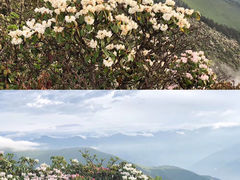 -达瓦更扎