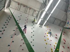 -绿壁虎攀岩基地(Tcar店)