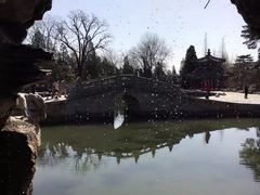 -香山公园