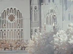 -广交会威斯汀酒店